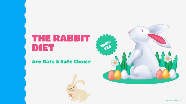 Discovering The Rabbit Diet: Are Oats A Safe Choice?
